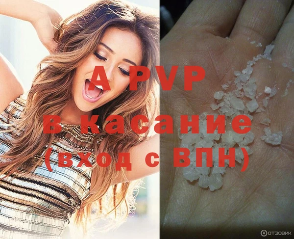 ПСИЛОЦИБИНОВЫЕ ГРИБЫ Медвежьегорск