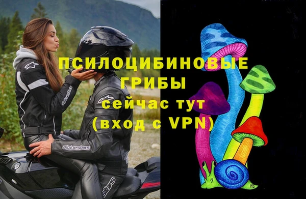 молекула духа Мегион