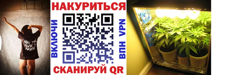 Бошки марихуана семена  Купить  Мценск 